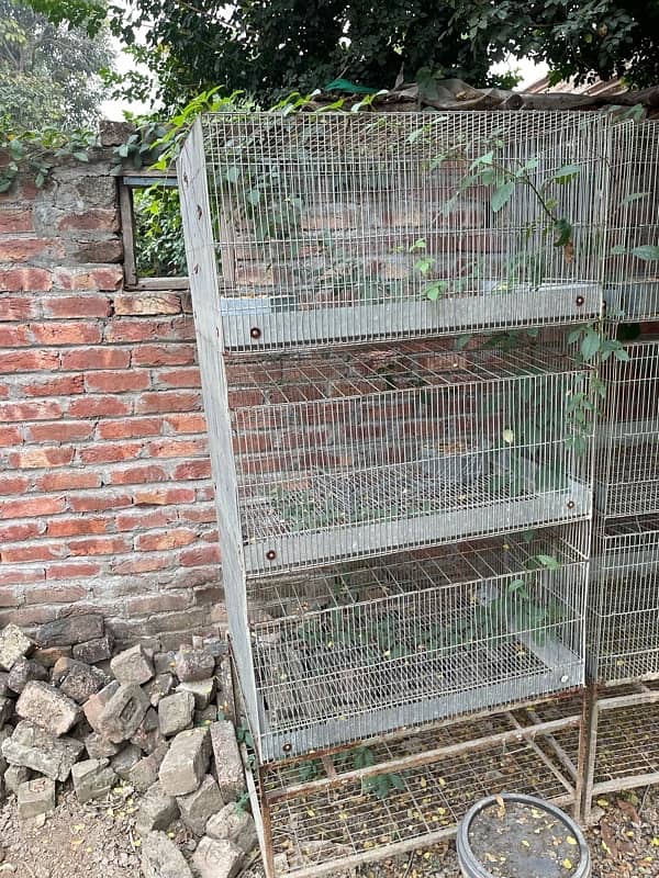 Hens / Parrots Or Rabbits Cage. 2