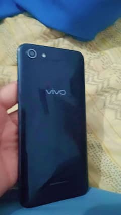 vivo