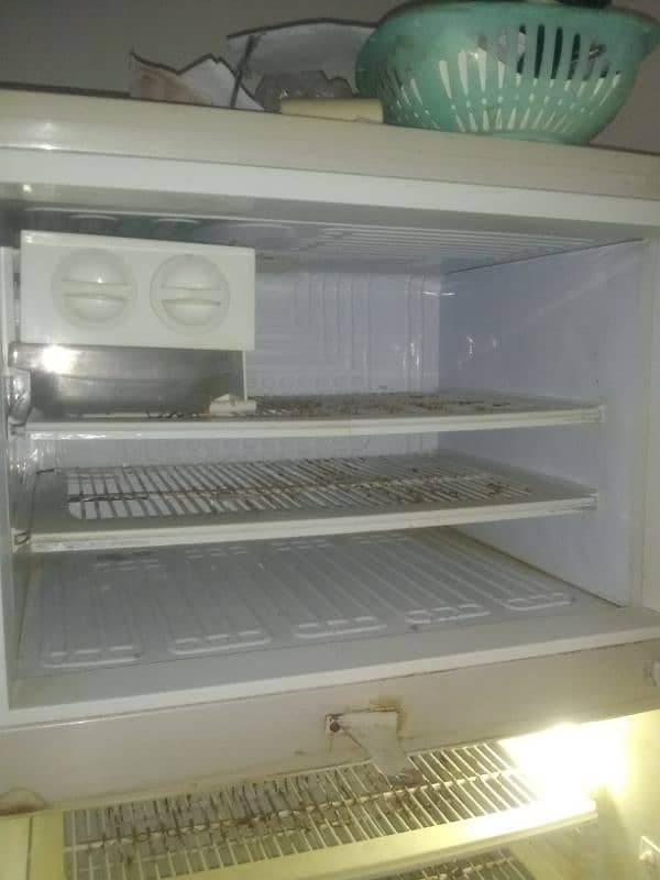 pel cristal refrigerator 4