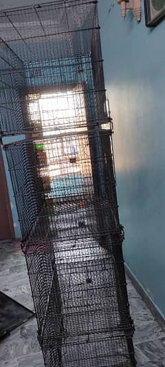 Best Cage for lovebirds