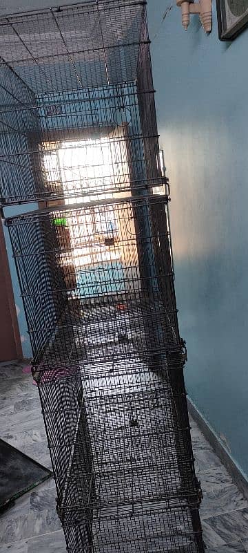 Best Cage for lovebirds 0