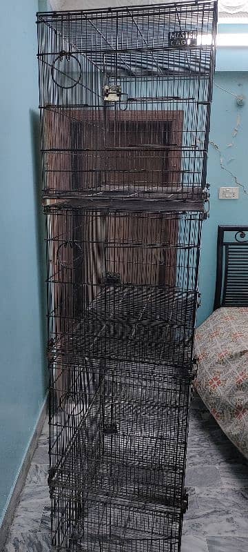 Best Cage for lovebirds 1