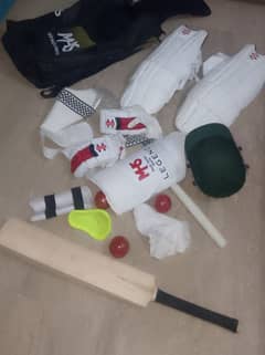 cricket lovers