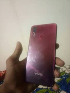 vivo