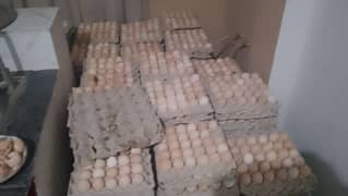 Desi egg wholesale