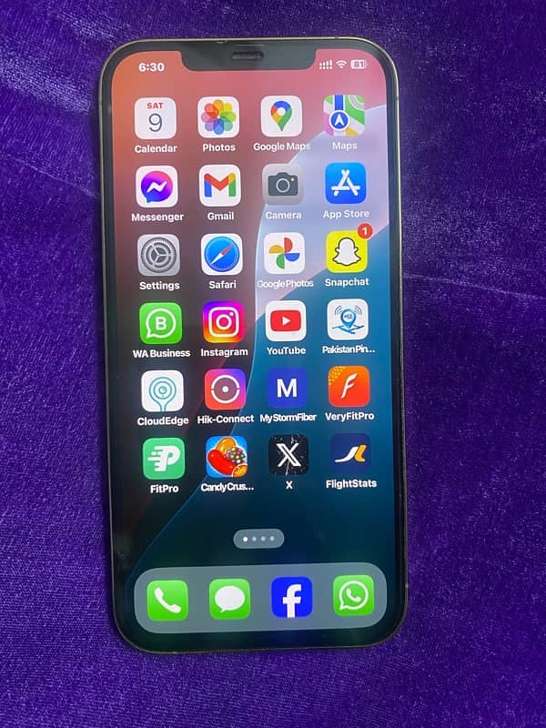 IPHONE 12 PRO MAX 256GB 4