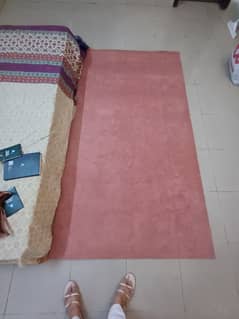 Pink Carpets/Mats