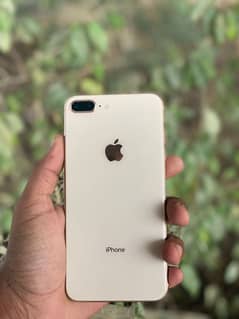 8plus approved