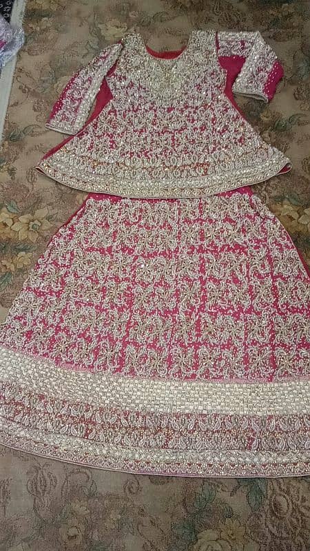 achi condition k bridals lehngy trendy pink lehnga or red shfon lehnga 4