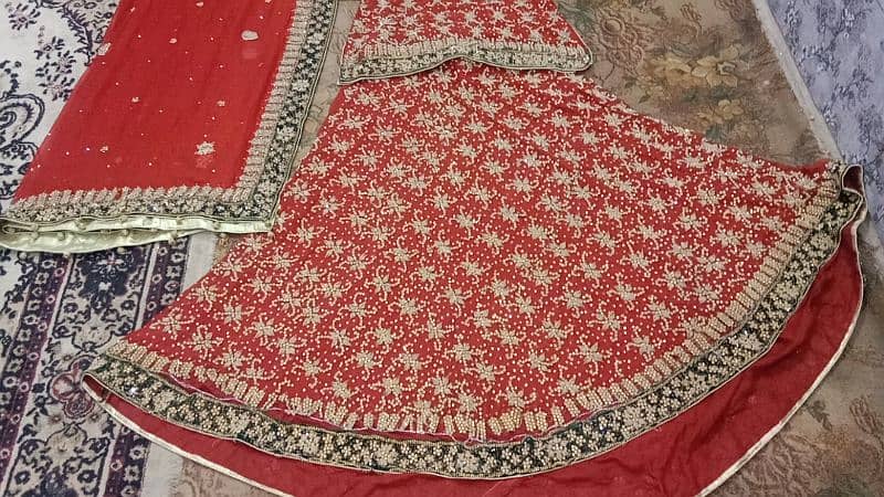 achi condition k bridals lehngy trendy pink lehnga or red shfon lehnga 10