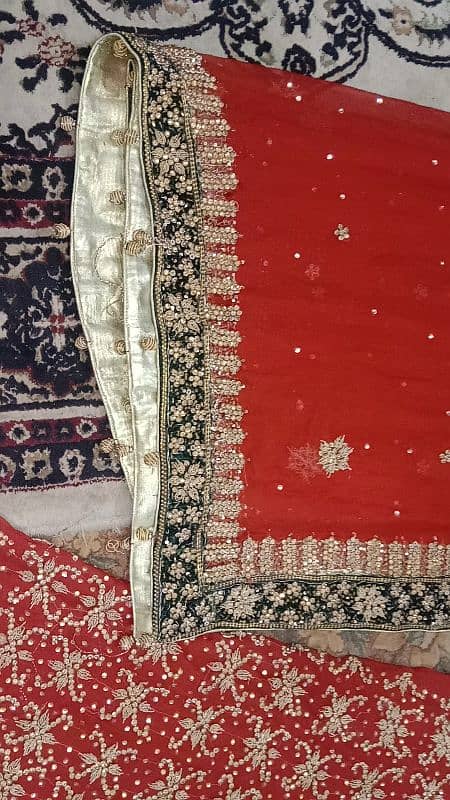 achi condition k bridals lehngy trendy pink lehnga or red shfon lehnga 14