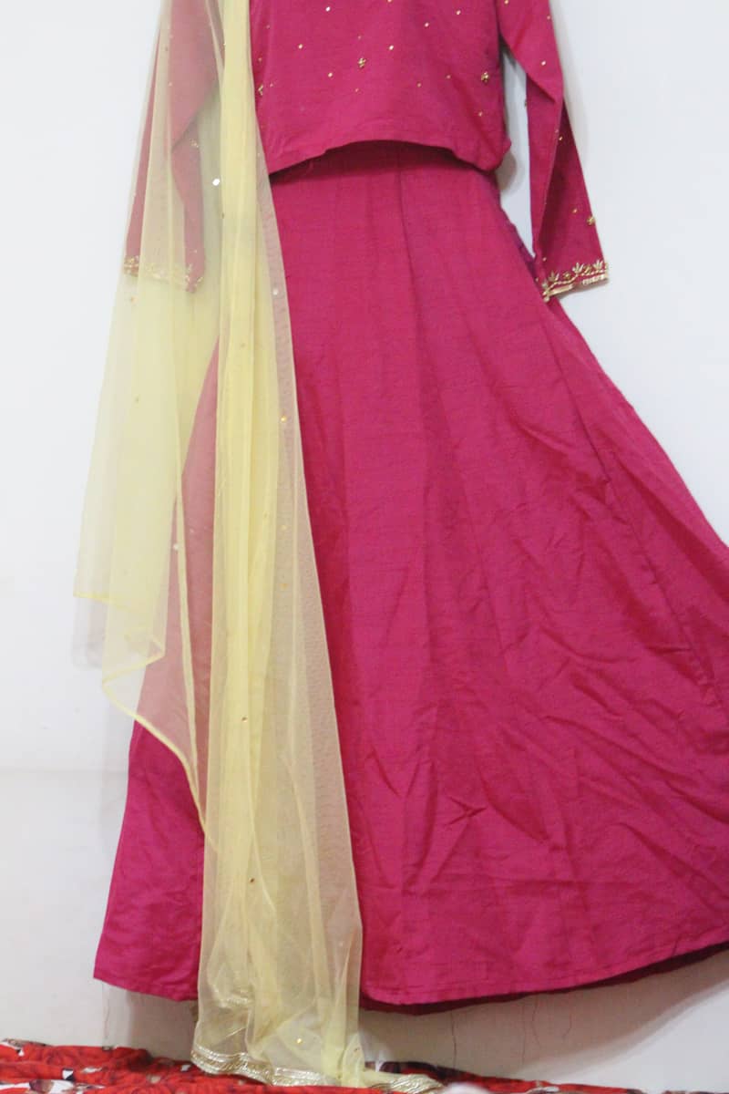 Pink lehenga choli 1