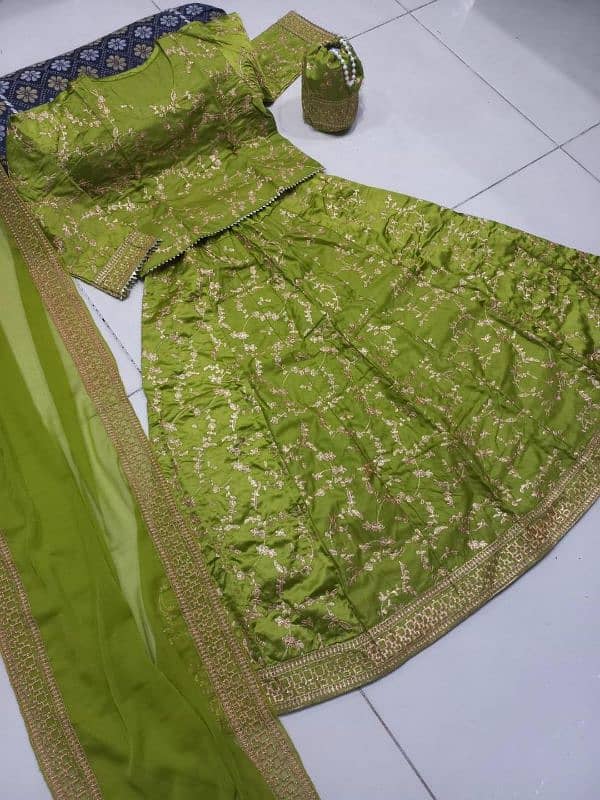 Embroidered lehenga choli and dupatta 0