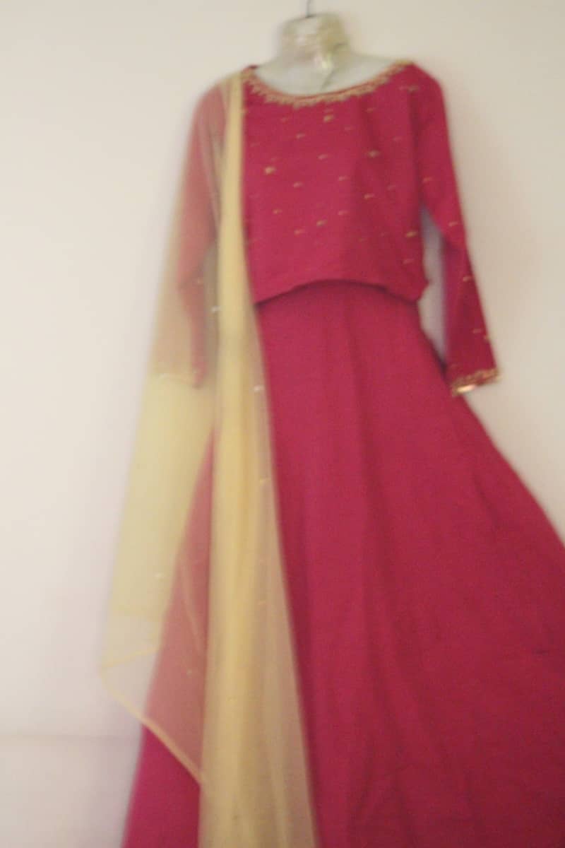 Pink lehenga choli 3