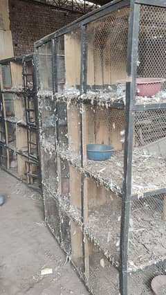 cages for sale