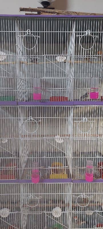 12 Portion Cages 1