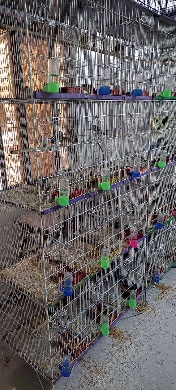 12 Portion Cages 2