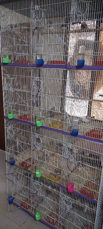 12 Portion Cages 3