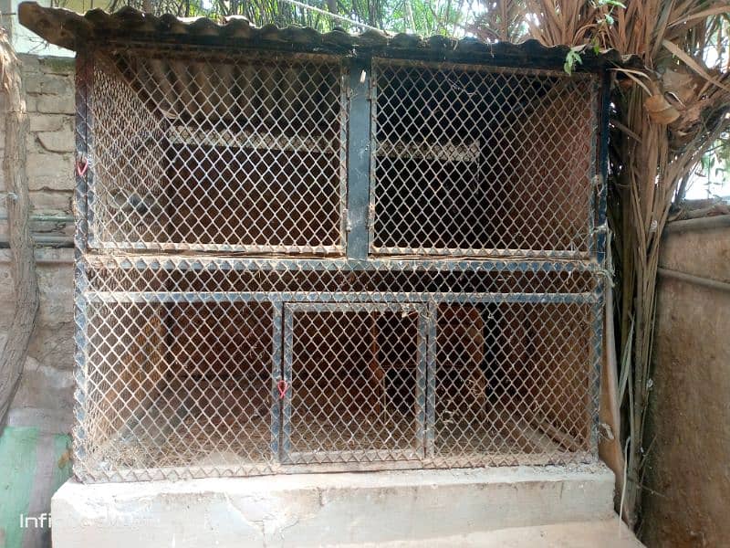 Cage/ pinjra for sale 4