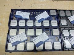 Ryzen 5 5600 tray Intel i5 12400f tray Ryzen 5 7500f tray