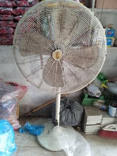 stand fan