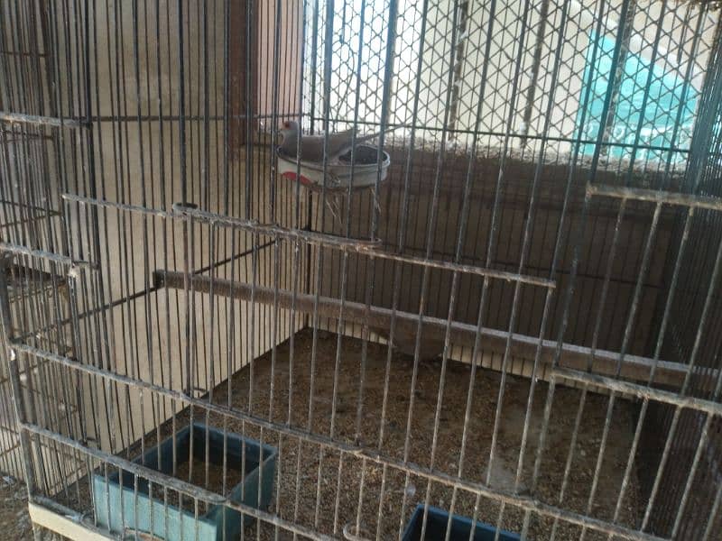 Bird Cages for sale 0