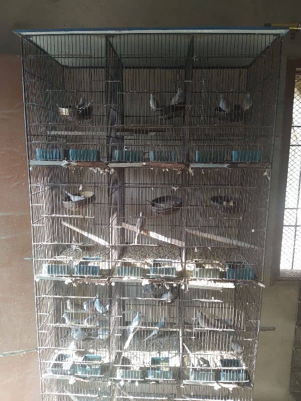 Bird Cages for sale 5