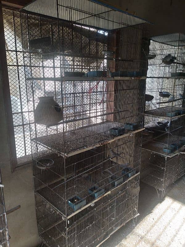 Bird Cages for sale 6