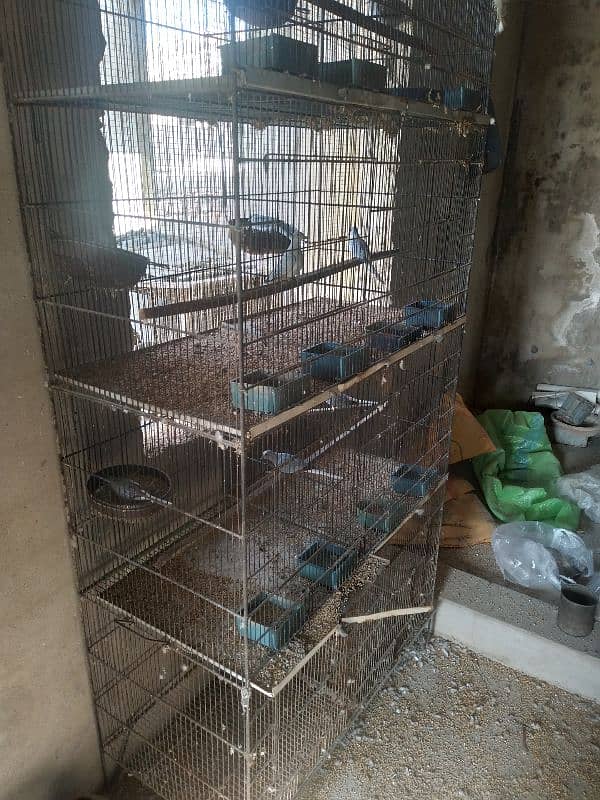 Bird Cages for sale 7