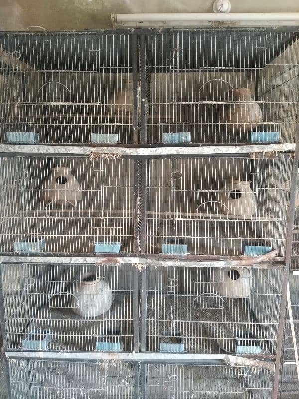 Bird Cages for sale 9