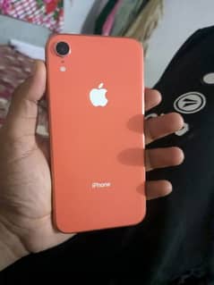 iphone xr [ factory unlocked]