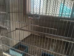 Bird Cages for sale