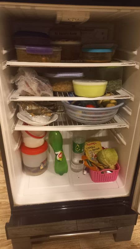 Pel Glass Door Refrigerator 3