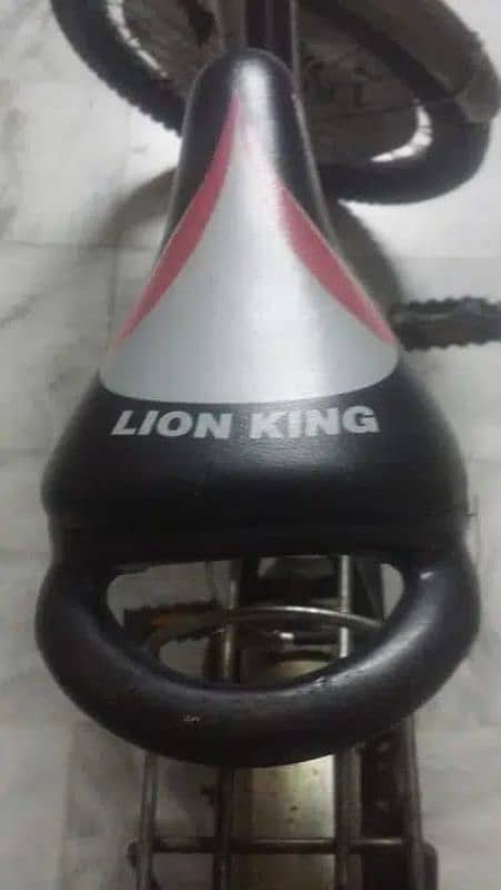 Original Lion King Mountain Bike 2