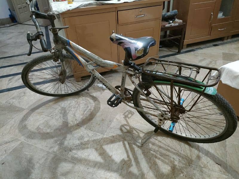 phoniex full size bicycle 4