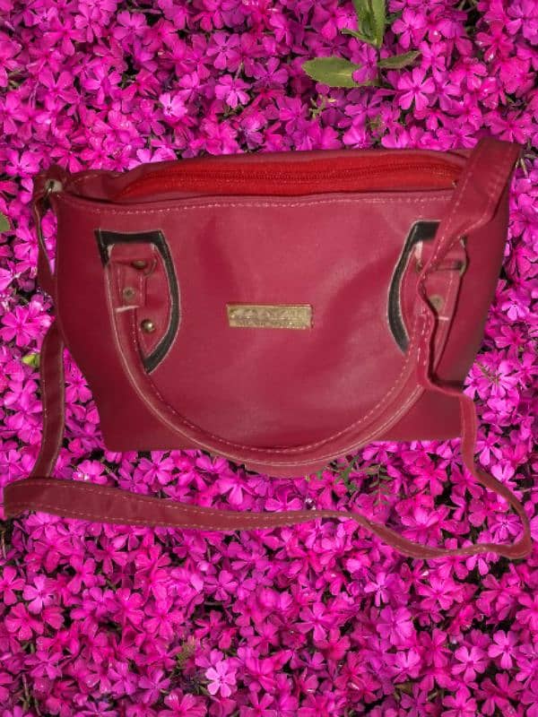 Bage for sale it's new hand bags Color is red delivery on TCS 0