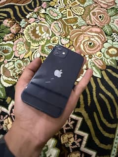 iphone 12 hk model