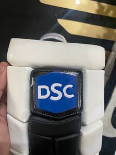 DSC Batsmen Gloves Pair