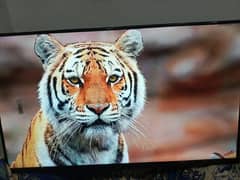 Samsung  UHD LED TV 43 inch 0-3-0-6-8-0-8-0-4-0-8