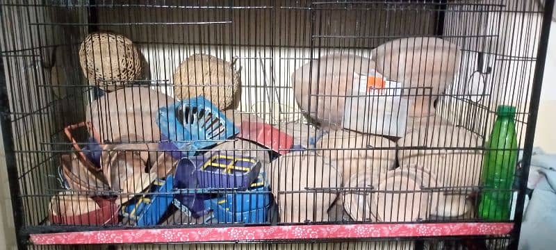 8 portion cage in good condition 3