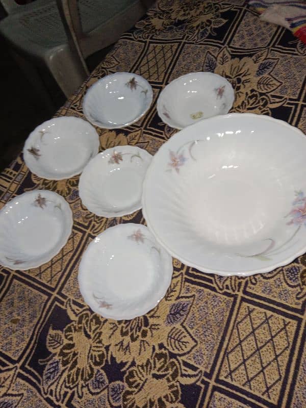 Castrd dinner set one big bowl 6 paltes 0