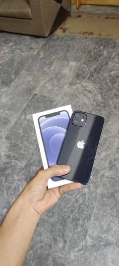 Iphone 12 non pta jv  LLA model