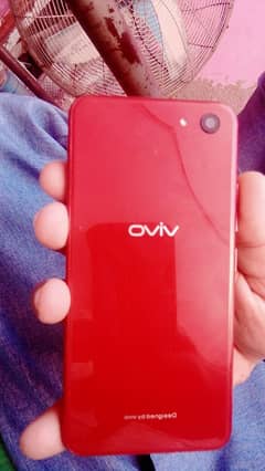 vivo