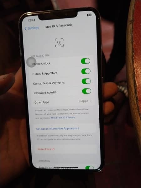 iPhone Xsmax 256gb True Tone Face ID ok 1