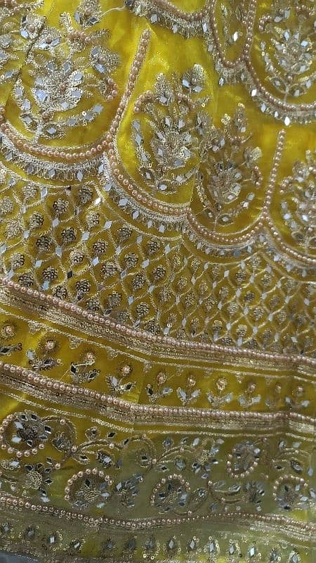 Mehndi Lehnga 3