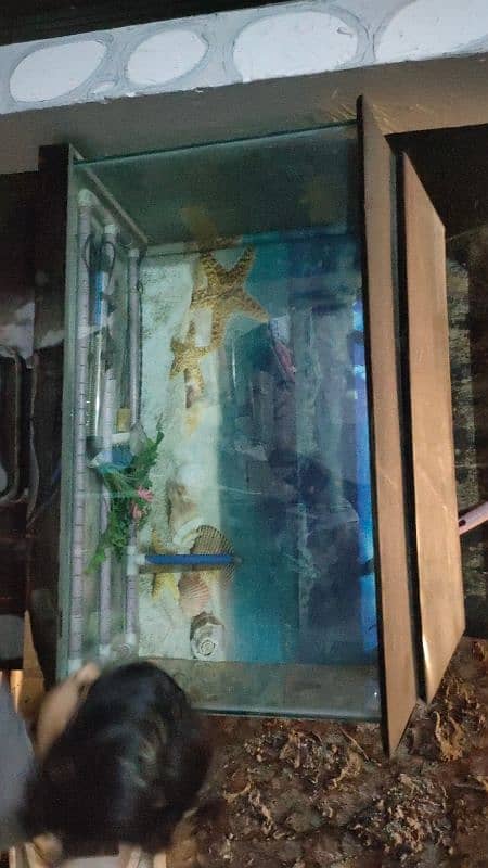 fish farm aquarium 0