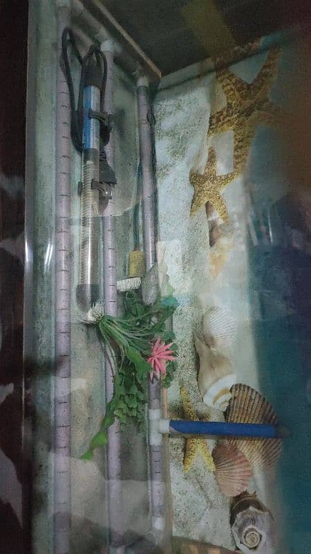 fish farm aquarium 1