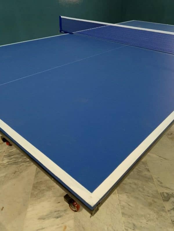 Table tennis table 17