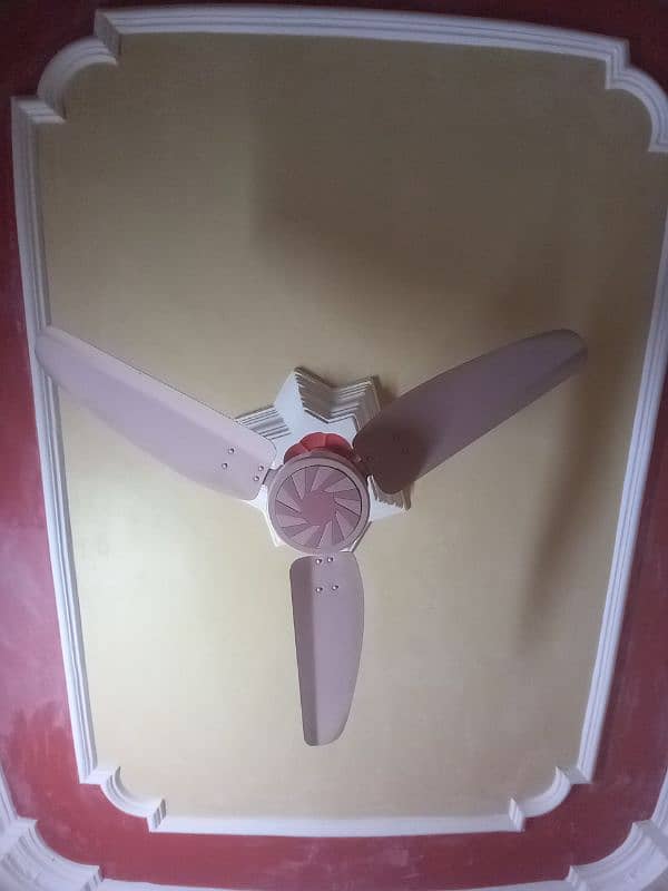 Royal Fan 100 % Orignial New Condition 1