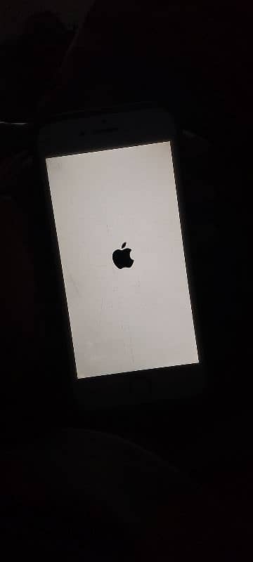 IPHONE 8 (03196010194) 2